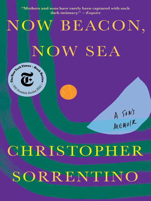 Title details for Now Beacon, Now Sea by Christopher Sorrentino - Available